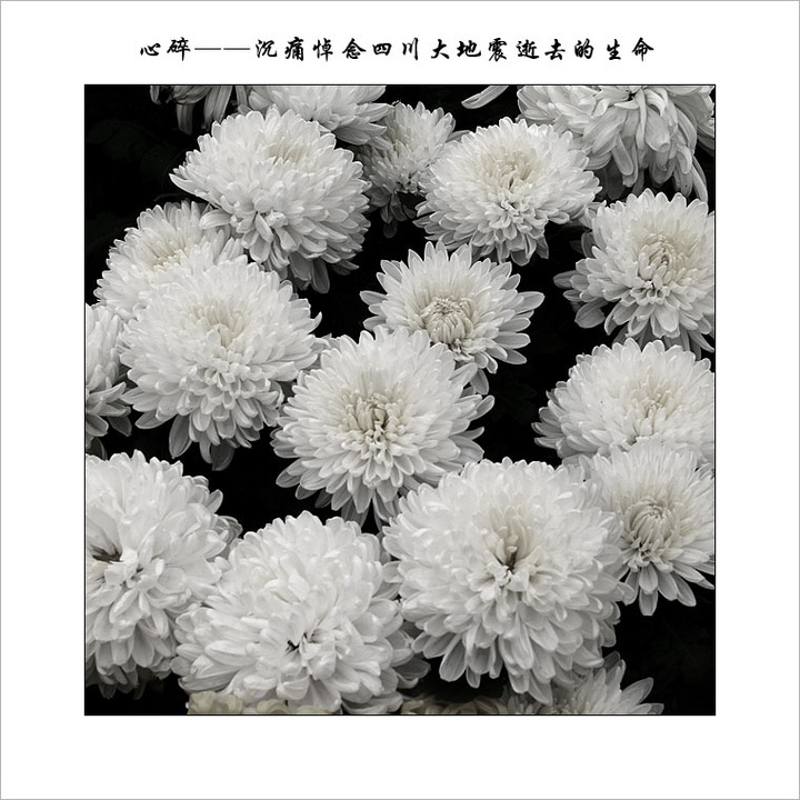 心碎—沉痛悼念逝去的生命