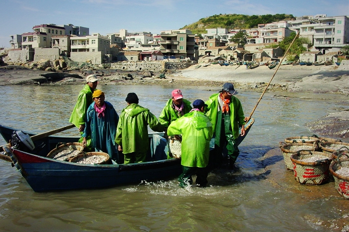 赶海男人