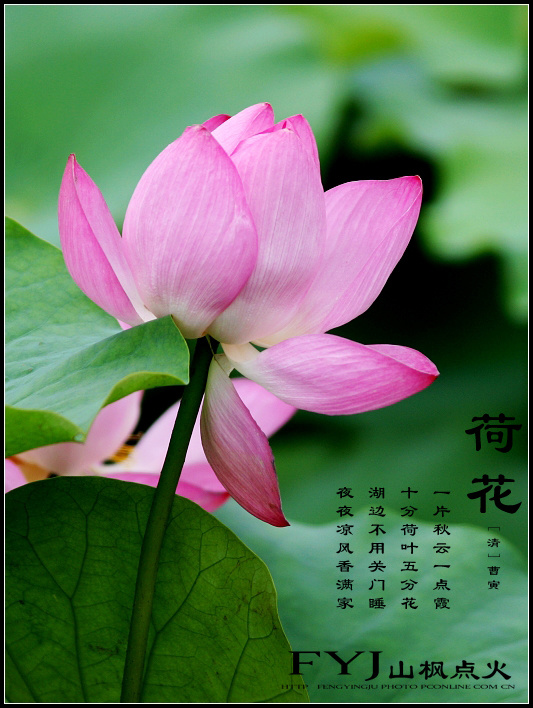 摄影部落