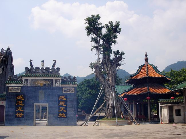 【德庆龙母庙摄影图片】广东肇庆市德庆龙母庙风光_网