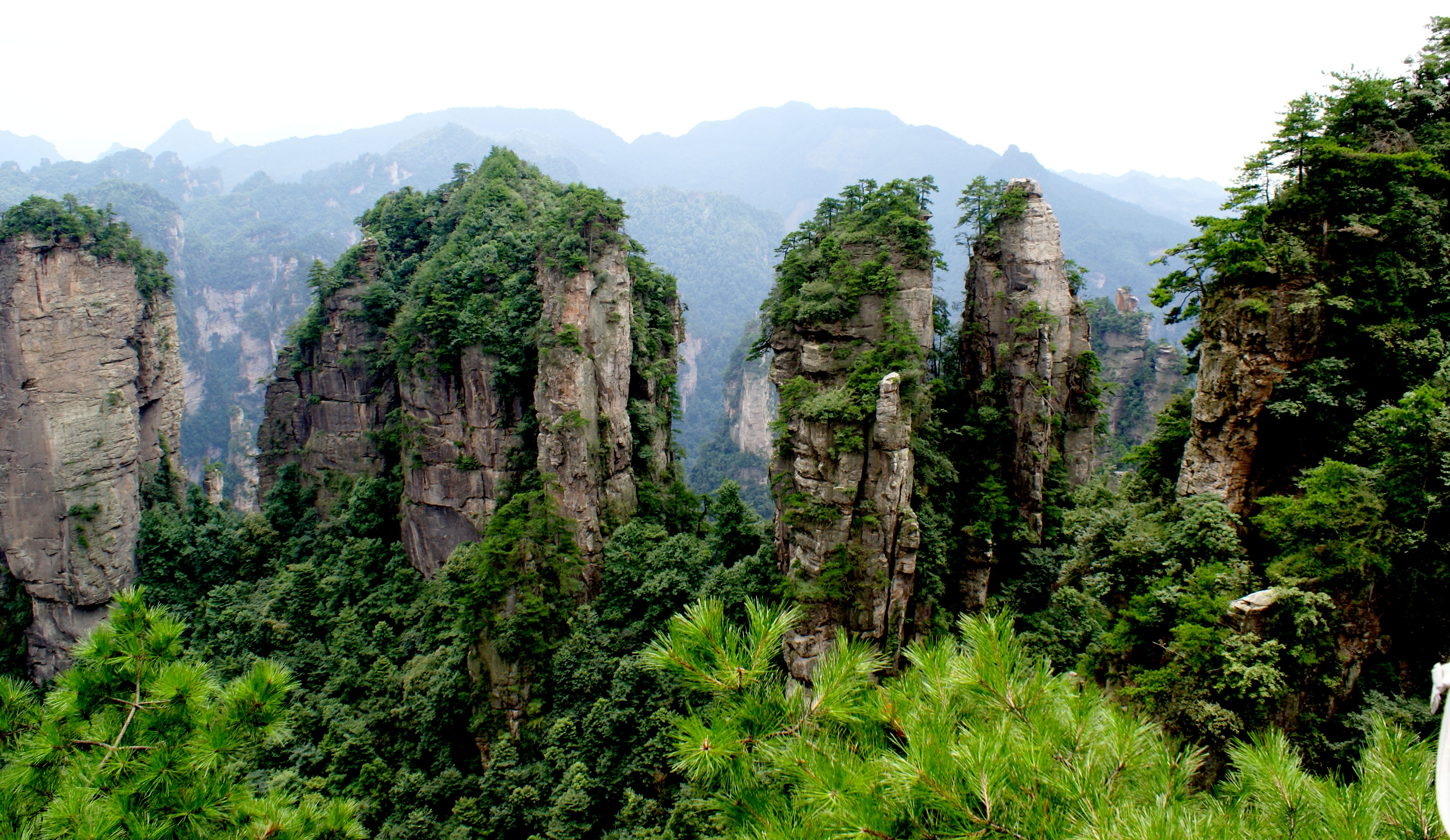 张家界天门山，中国 (© Bogdan Dyiakonovych/Shutterstock) @20200108 | NiceBing 必应美 ...