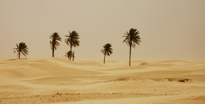 【撒哈拉沙漠摄影图片】非洲撒哈拉沙漠风光摄