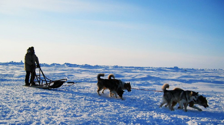 【狗拉雪橇摄影图片】北极风光旅游摄影_心在