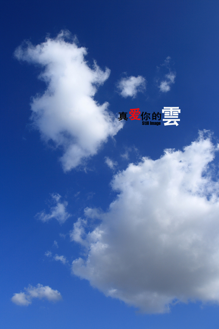 【真爱你的云摄影图片】上海风光摄影_太平洋电脑网