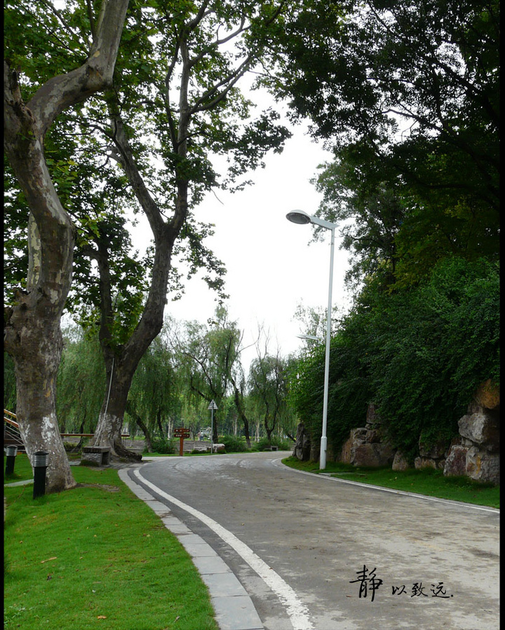 泰州泰山公园_溱湖国家湿地公园门票