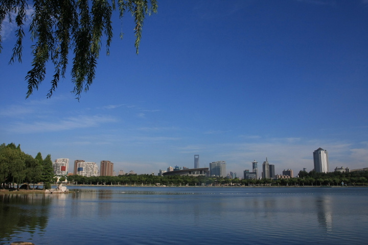 【上海世纪公园湖畔摄影图片】上海世纪公园风