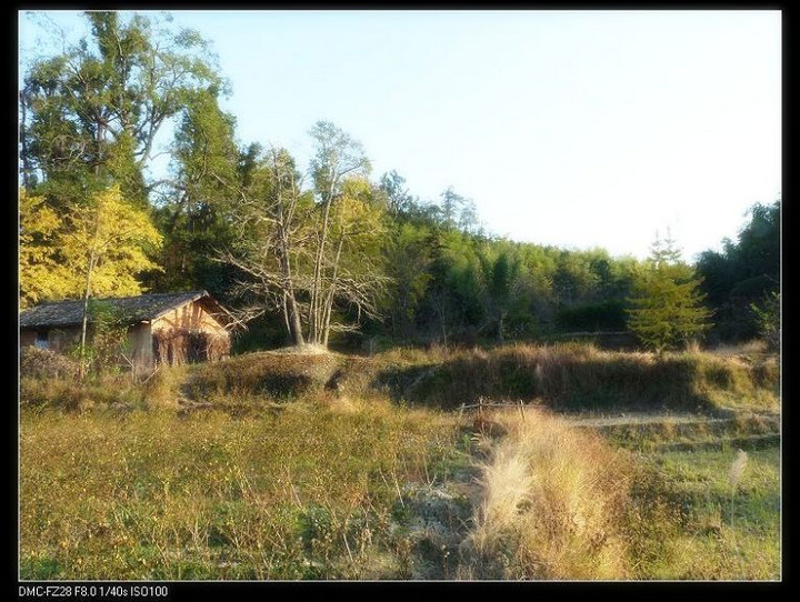 乡村小景