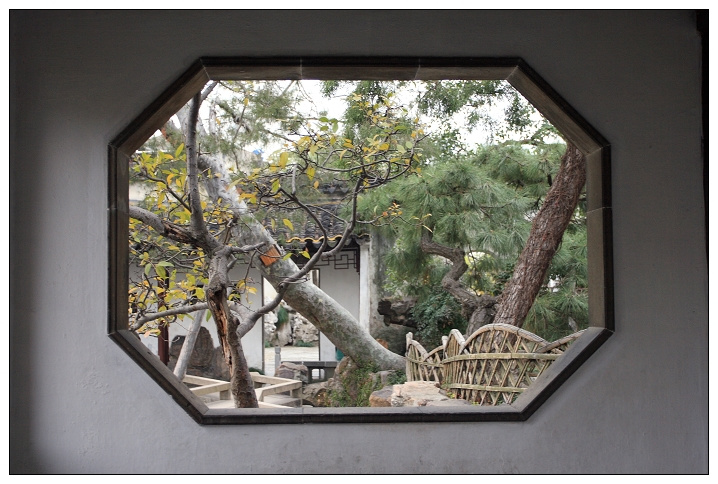 【苏州园林-网师园的窗摄影图片】苏州网师园