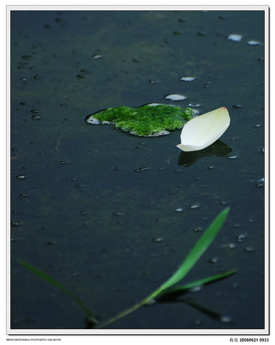 花自飘零水自流