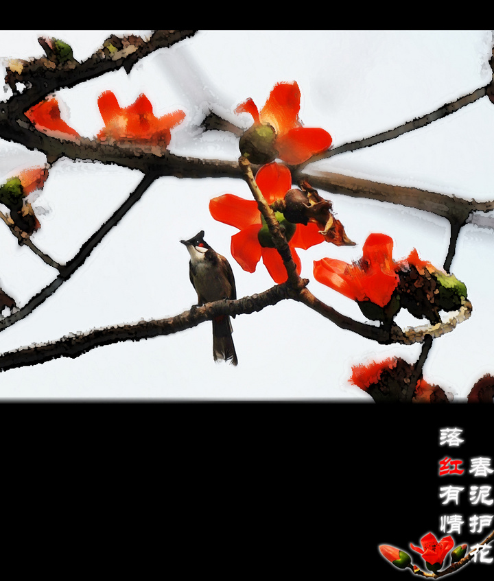 【落红有情.春泥护花摄影图片】烈士陵园生态