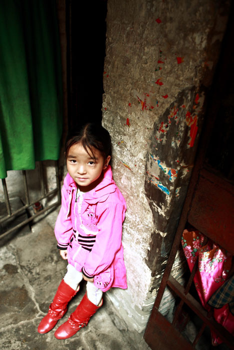 【最美的花朵摄影图片】开平赤坎二马路纪实摄