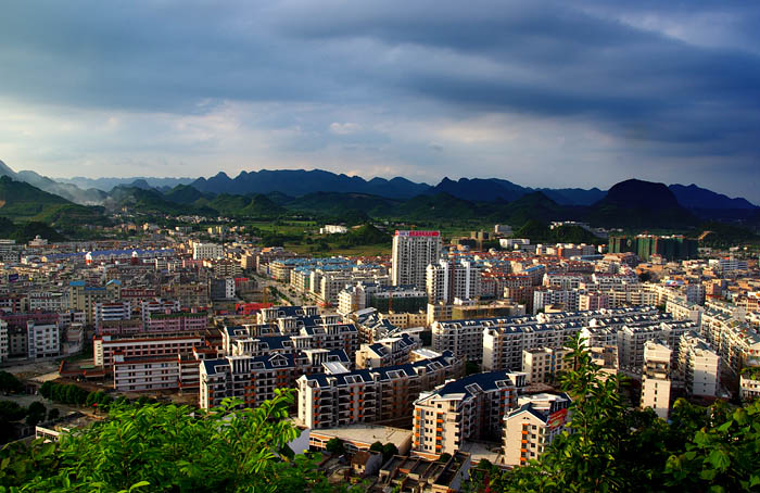 红肉苹果发展前景湖北省 2013年8月30日——访百色市平果县四塘镇龙盘