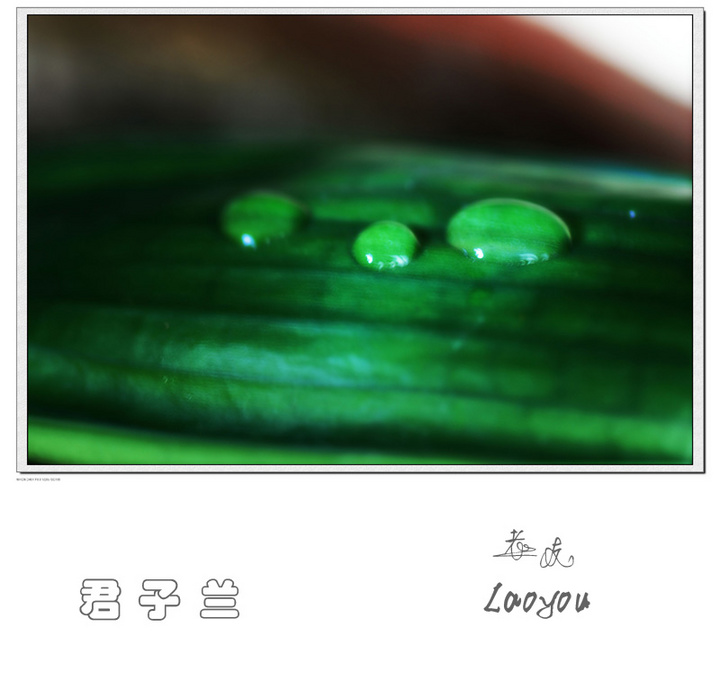 翠色欲流