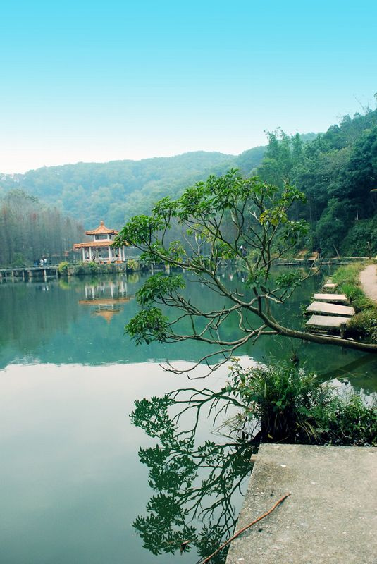 仙湖植物园之--景色如画