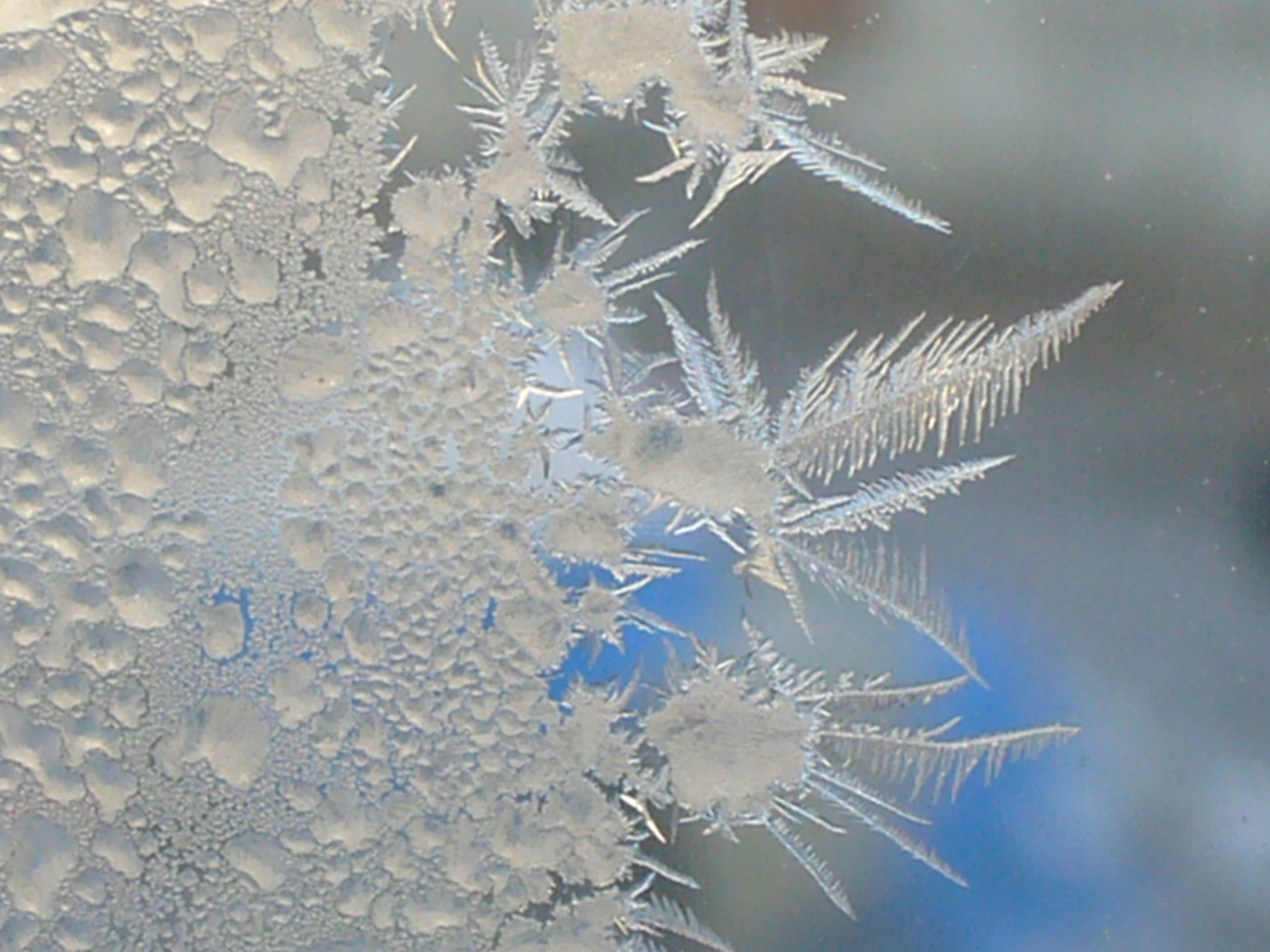 科学网—窗户上精致美丽的冰花 - 冯大诚的博文