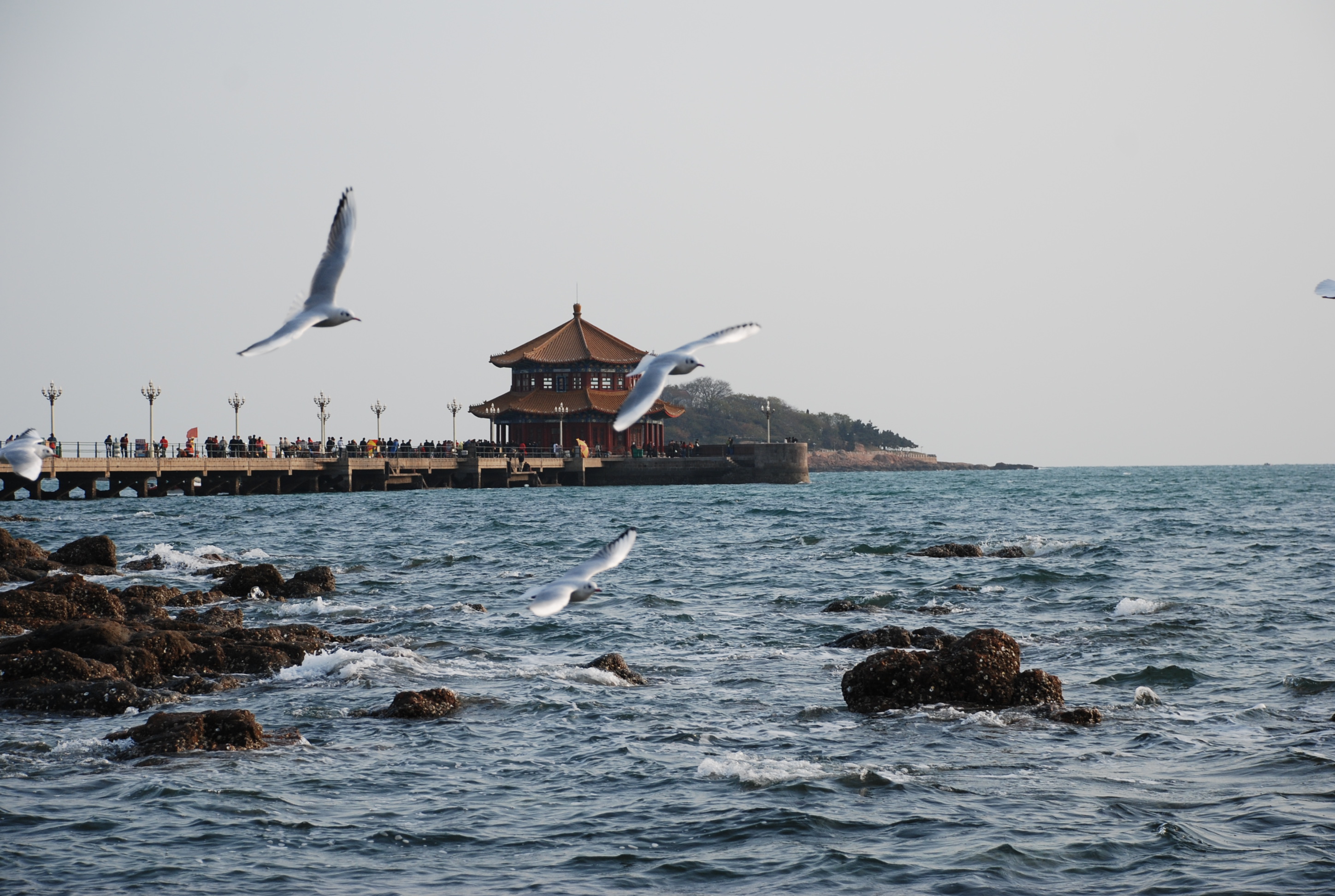 【初冬的青岛海滨摄影图片】青岛前海边风光旅