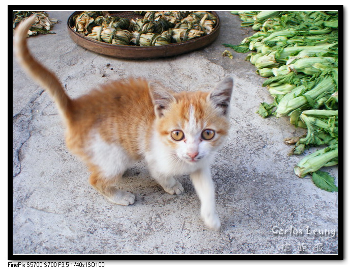 【梅州嘉应学院校外村庄随拍摄影图片】梅州嘉
