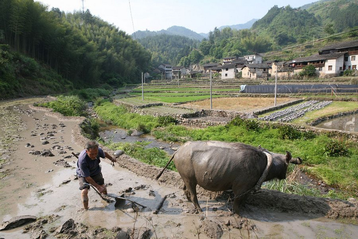 山村春耕图