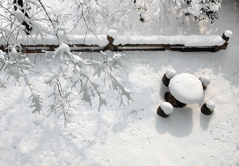 苏州下雪