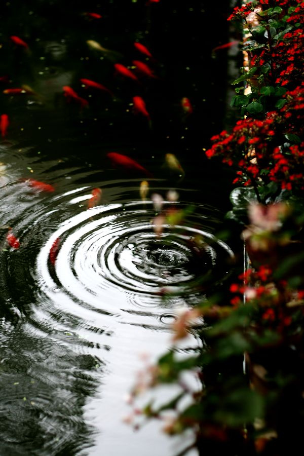 雨的印记