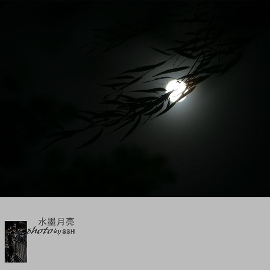 【秋夜如歌·水墨月亮摄影图片】北京其他摄影_十三虎