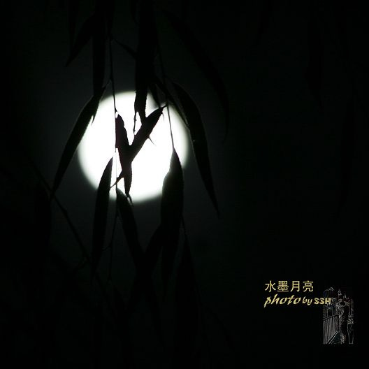 【秋夜如歌·水墨月亮摄影图片】北京生活摄影