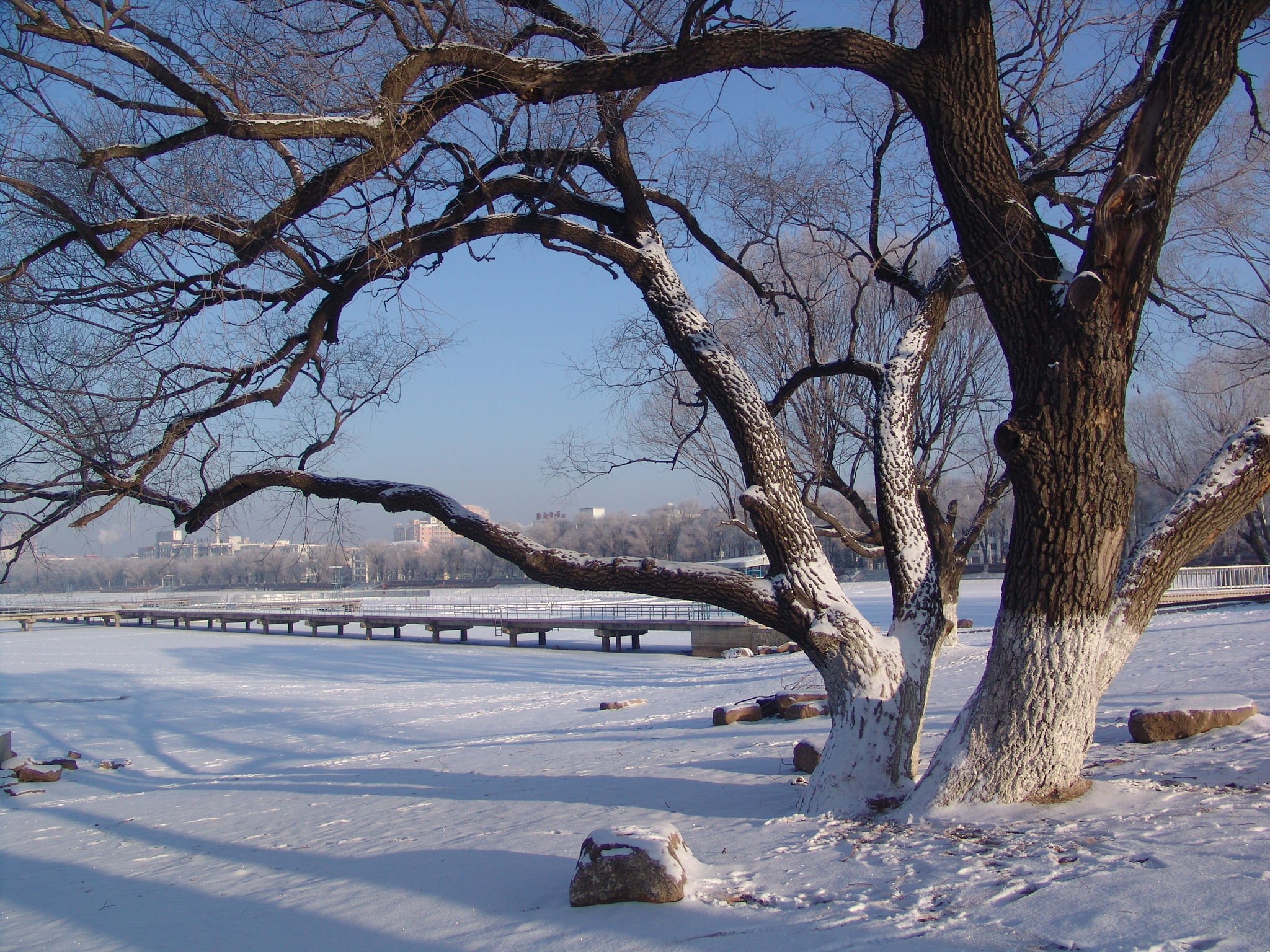 【高清图】公园雪景-中关村在线摄影论坛