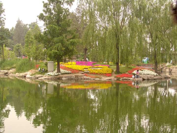 北京中山公园风景(共p)