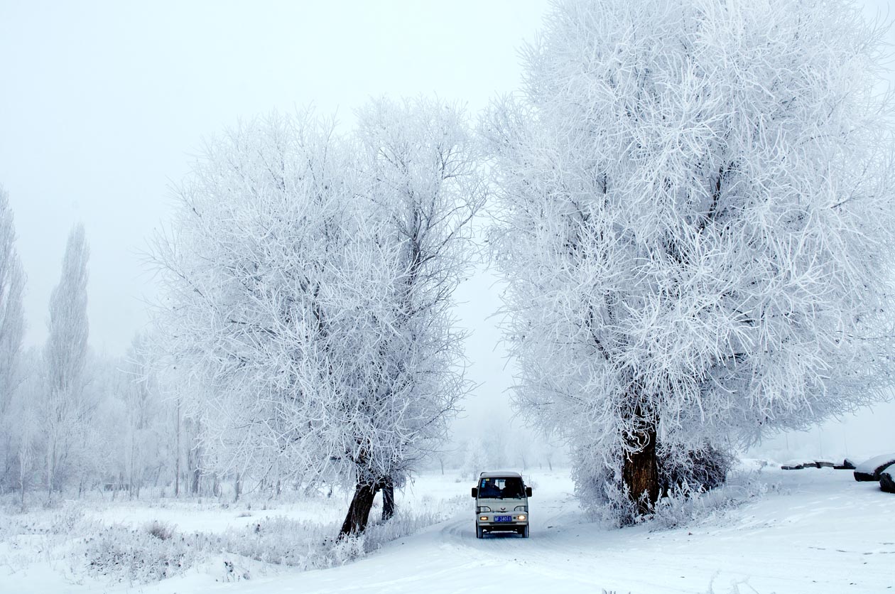 伊犁河的隆冬2008第一天