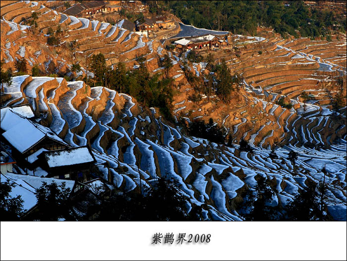 新化紫鹊界梯田雪景(三)