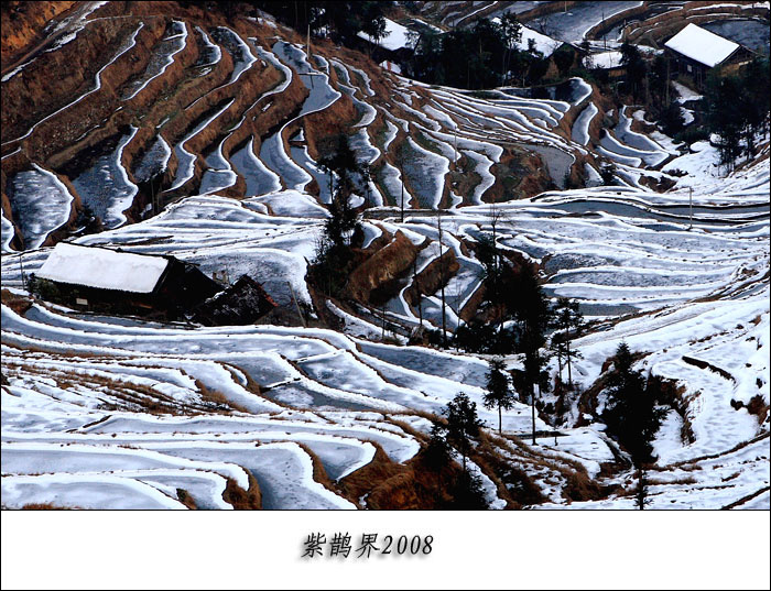 新化紫鹊界梯田雪景(三)(共19p)