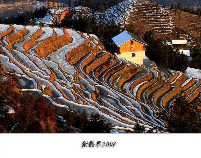 新化紫鹊界梯田雪景(三)(共19p)