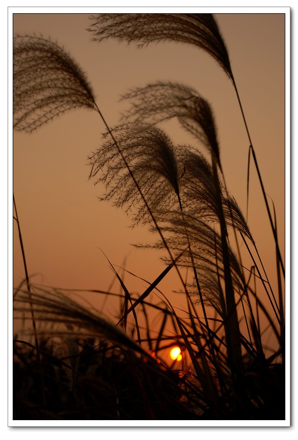 乡村.夕阳.宁静