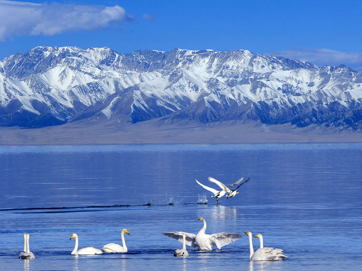 【西域明珠-赛里木湖摄影图片】新疆伊犁风光