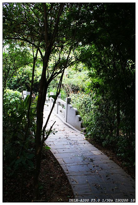 【前途未卜-小径摄影图片】深圳彩田公园风光