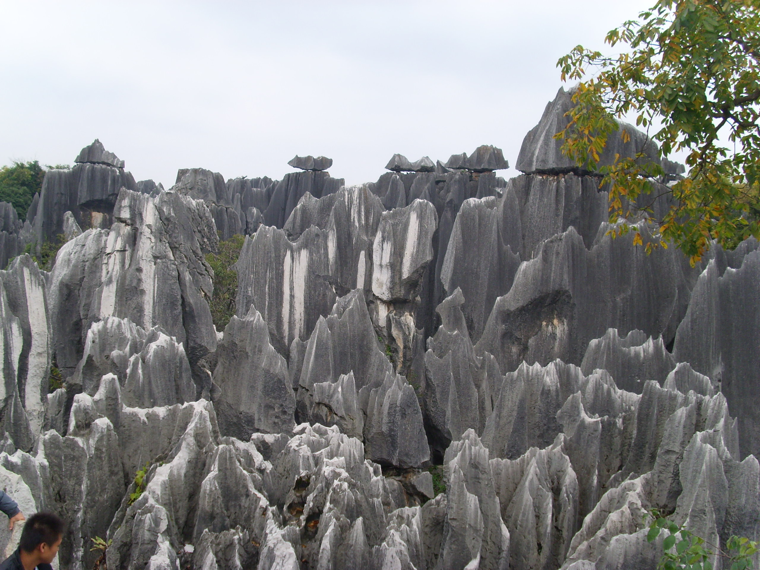 石林风景