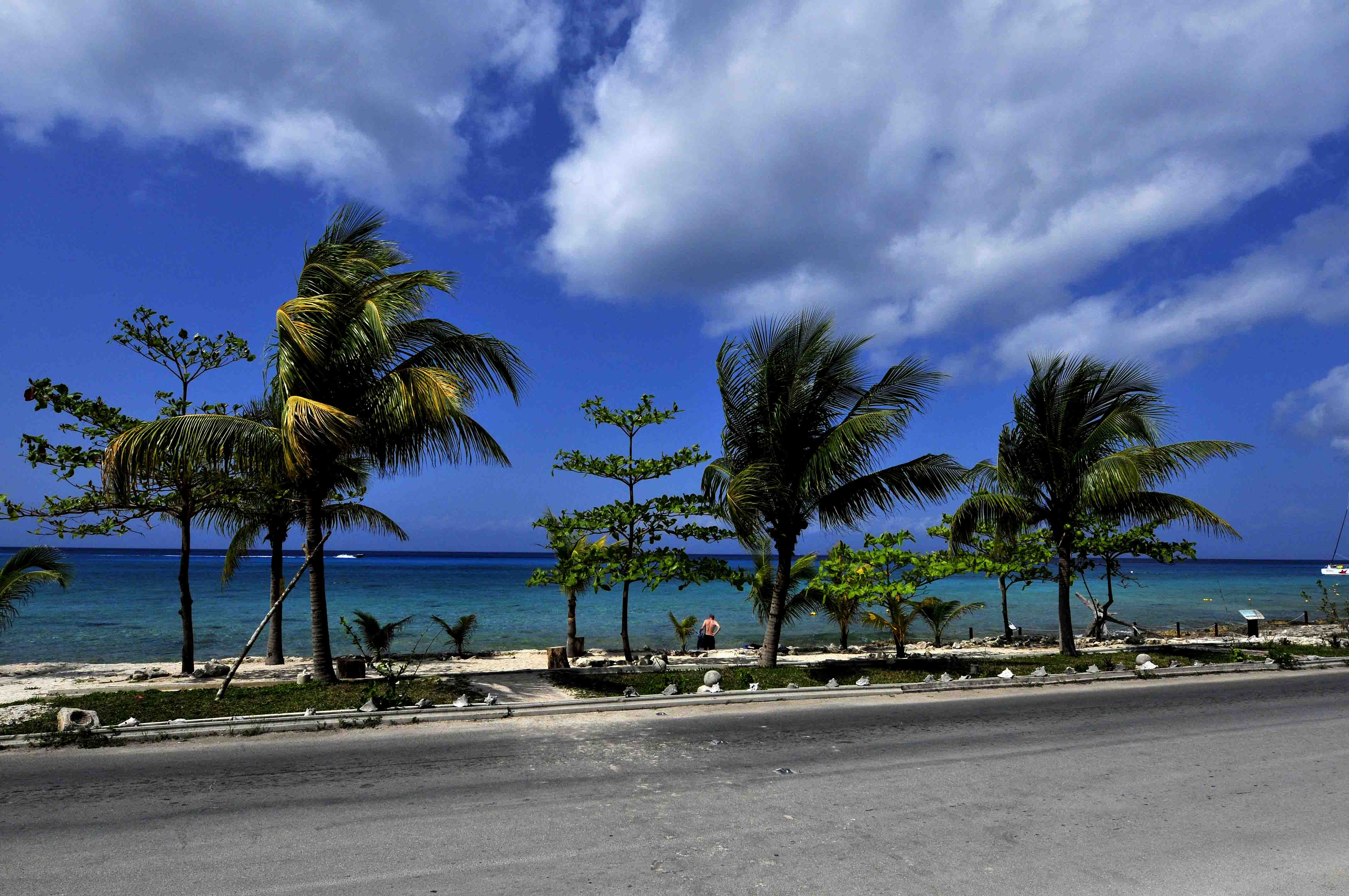 加勒比海 沙滩 天空 云 棕榈树 4K风景壁纸_4K风景图片高清壁纸_墨鱼部落格