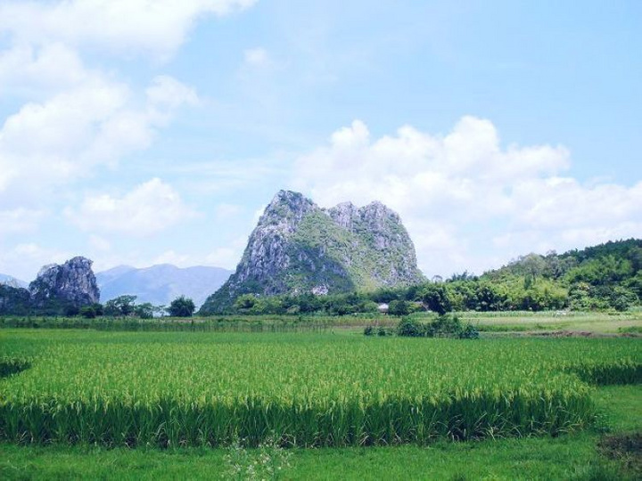 田园山水