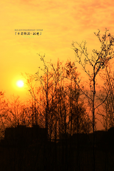 夕阳晚照