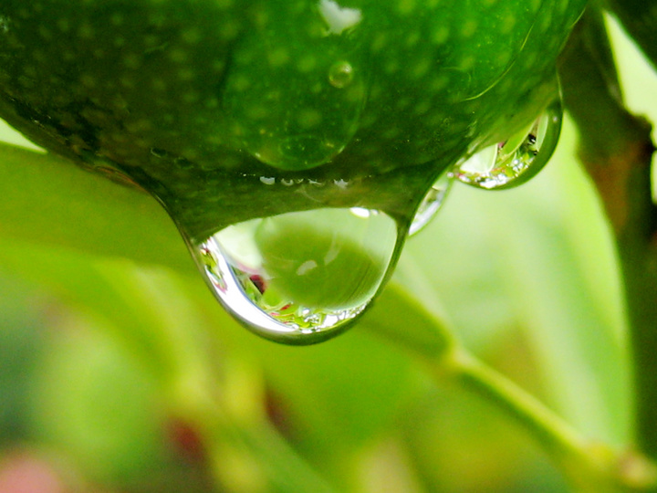 梦幻水珠