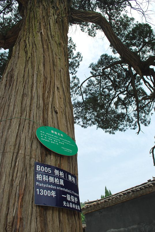 【千年古刹静居寺(梵天寺)摄影图片】河南光山文殊乡