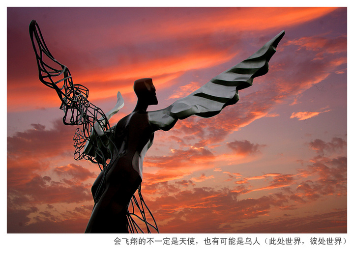 【百年学府换新颜--中国农业大学摄影图片】北