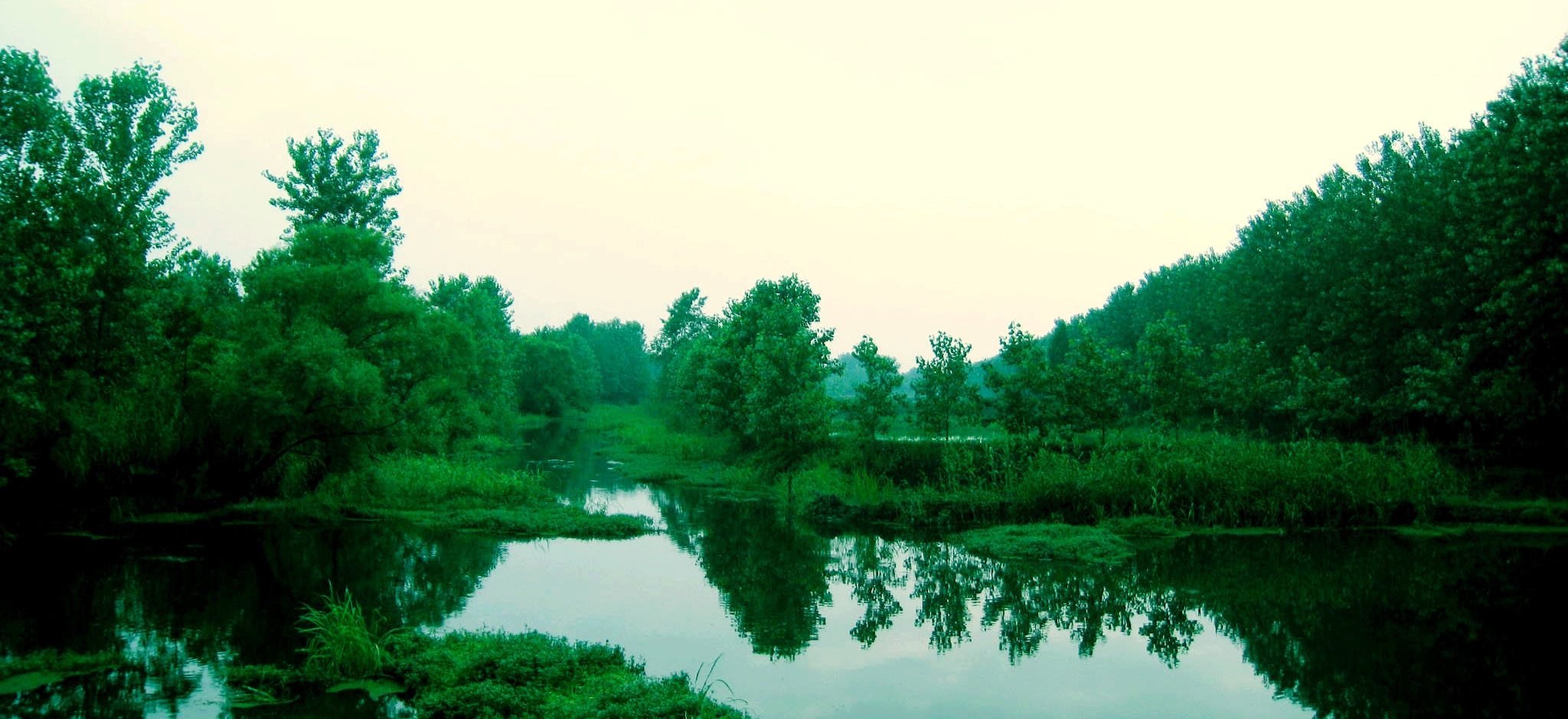 身边的美景
