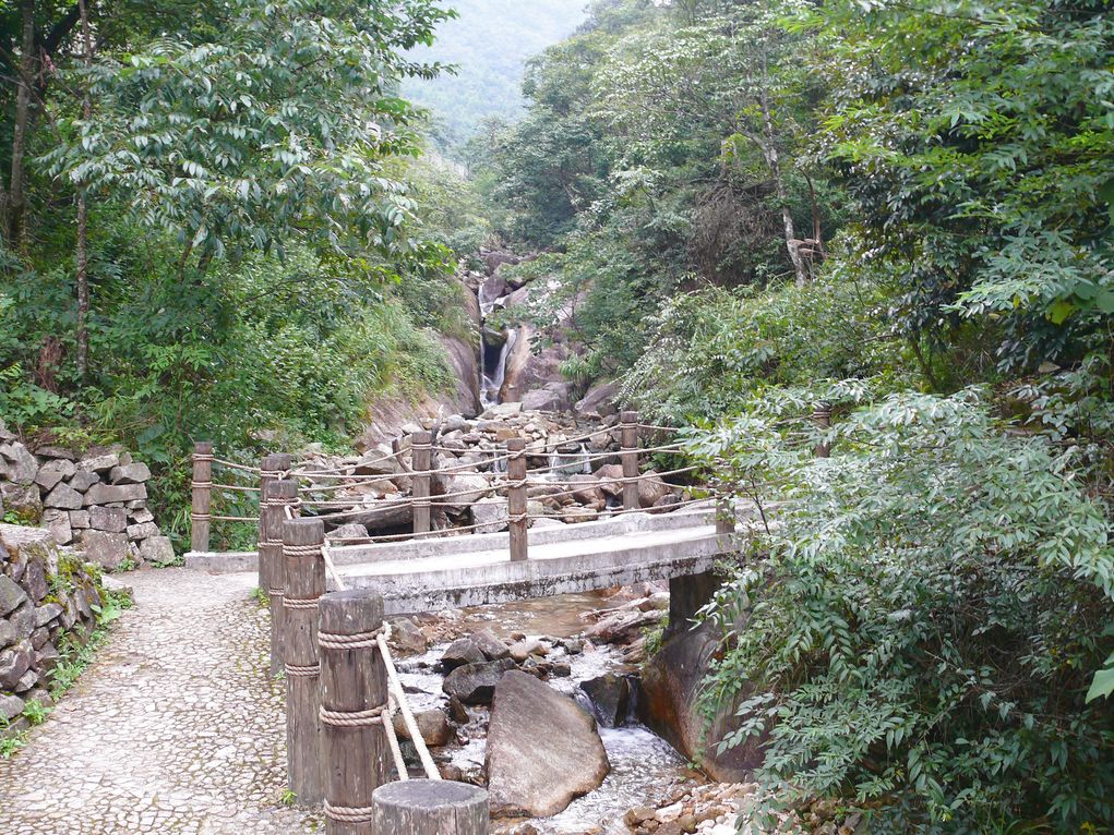 南岭公园(晴雾雨)
