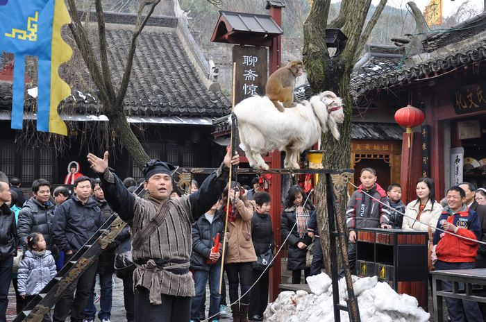 羊猴杂耍表演--春节游杭州宋城(4)