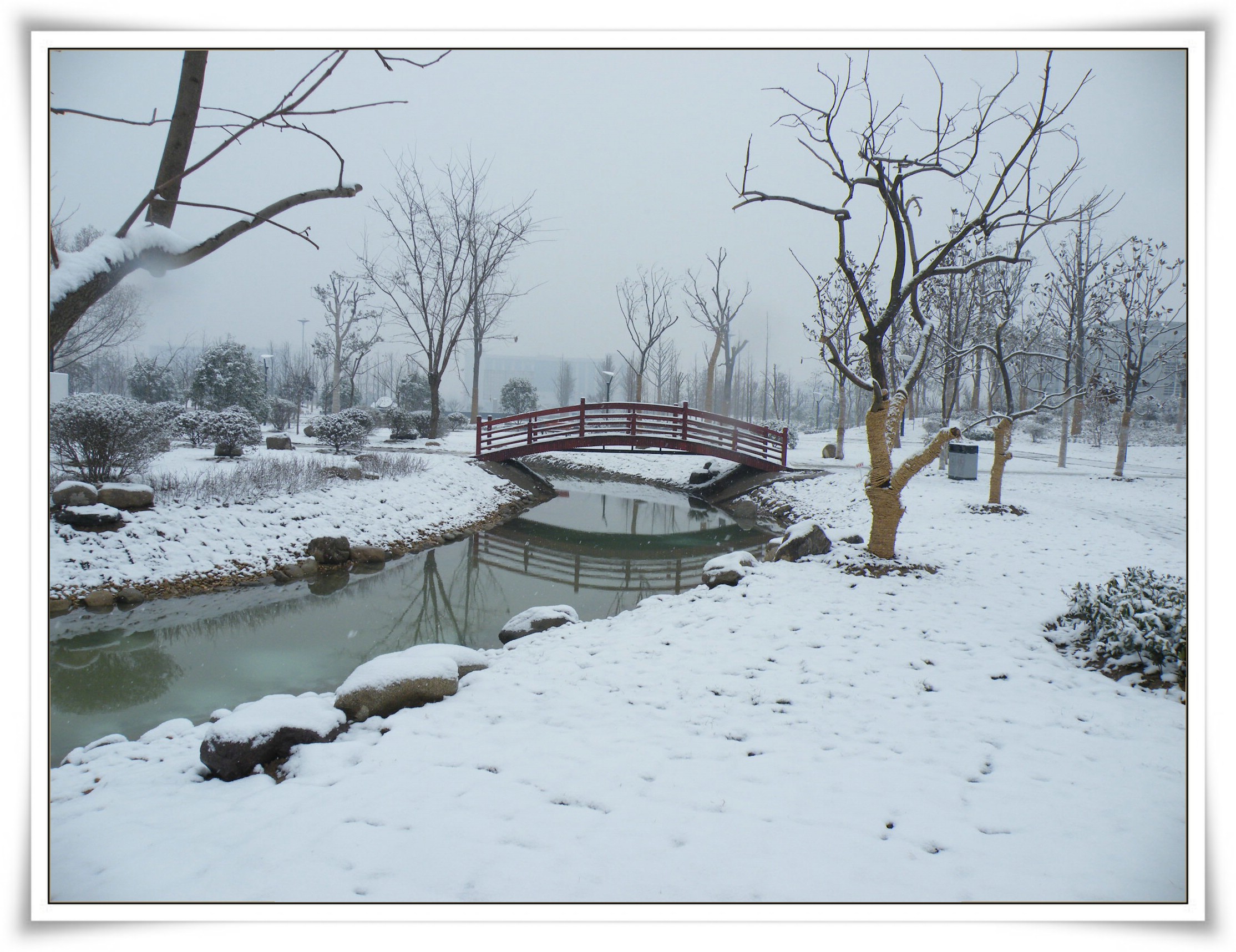 下雪了.