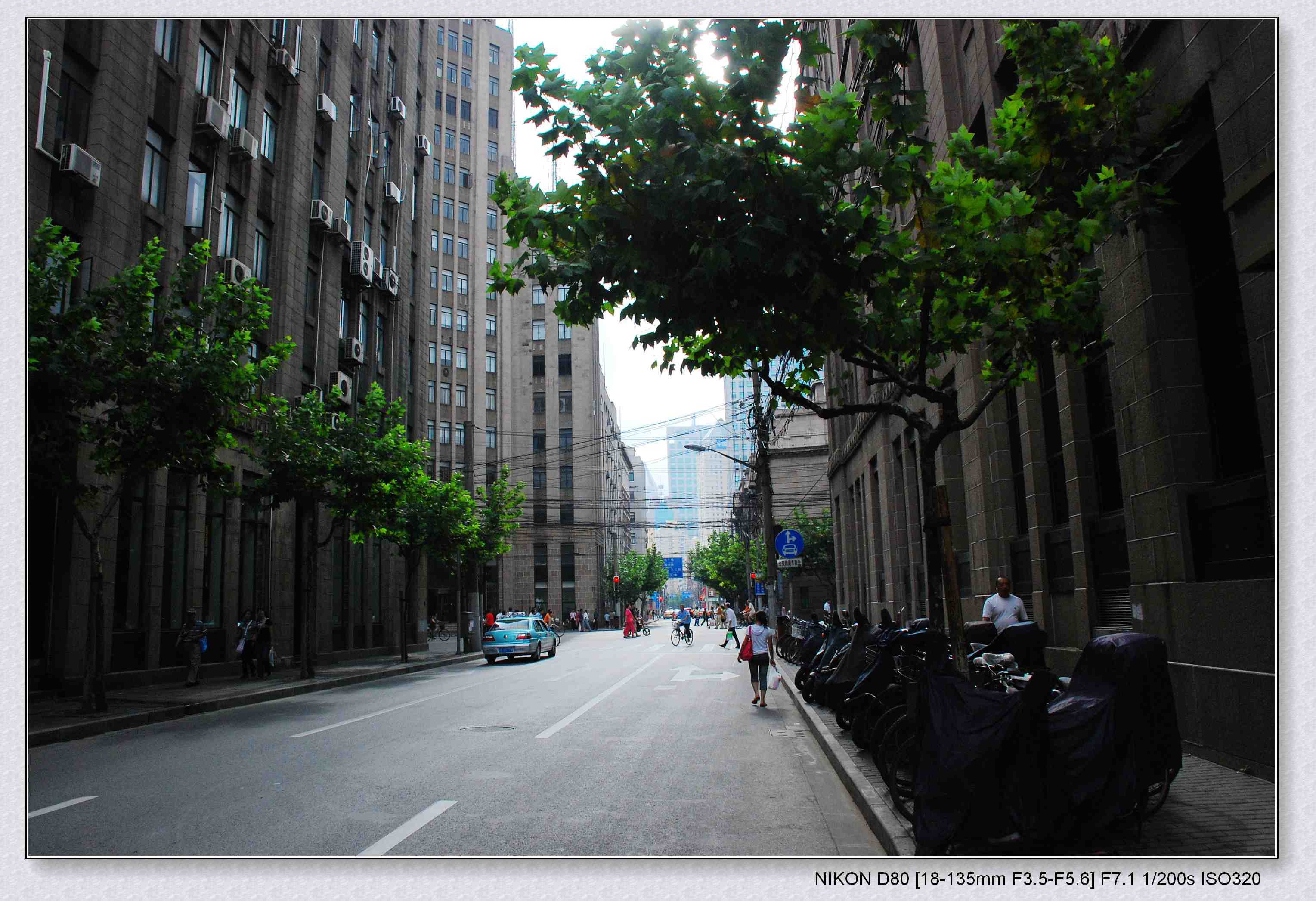 上海秋色街景高清图片下载-正版图片500171288-摄图网