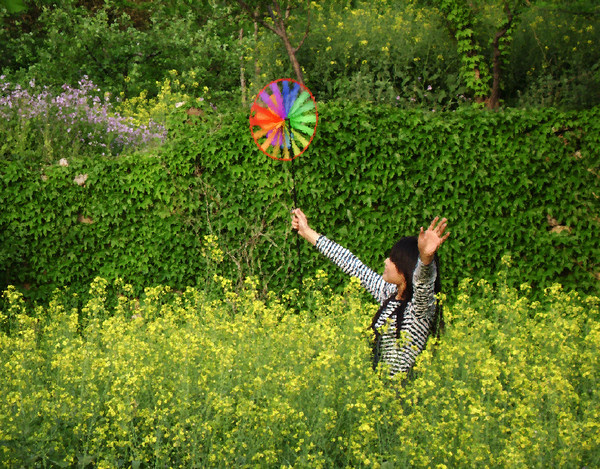 【风吹过的夏天摄影图片】济南红叶谷风光旅游