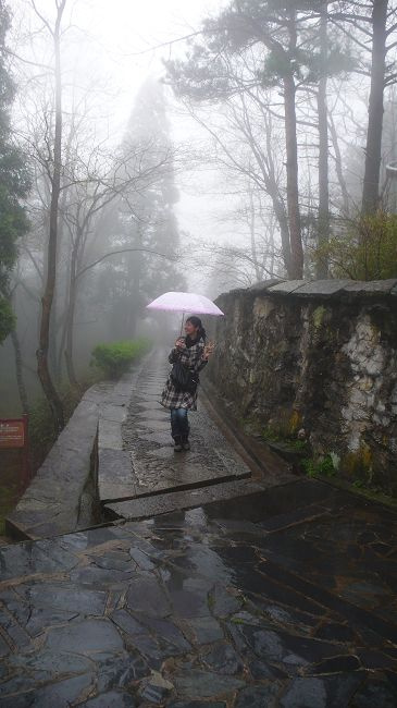 雨中游庐山