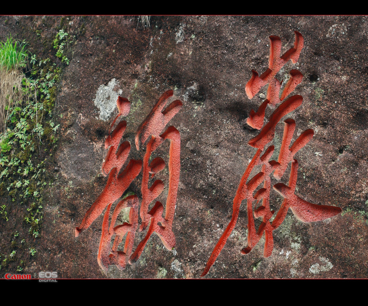 【岩韵★三红七绿大红袍摄影图片】武夷山生态